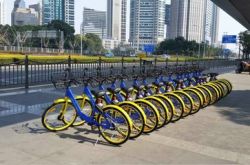 【7分钟教程】贺州市工厂咨询热线电话_哔哩哔哩